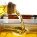 COOKING OIL