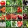 Vegetables