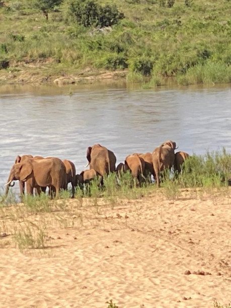 South Africa Tour - 11 days