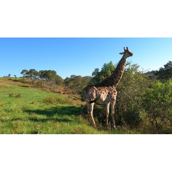 South Africa Tour - 11 days South Africa Tour - 11 days